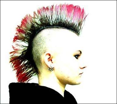 256_mohawk1