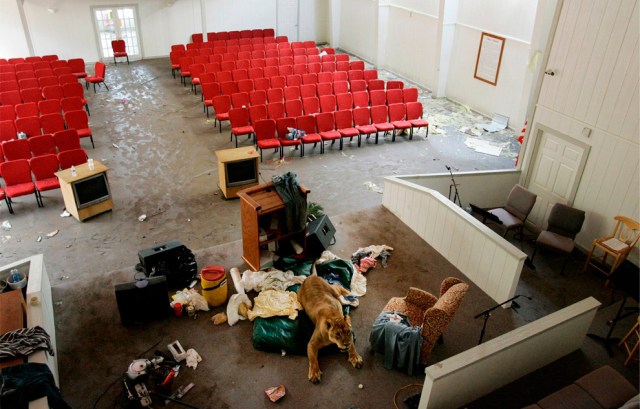 Shahle rode out in the First Baptist Church of Chrystal Beach Texas