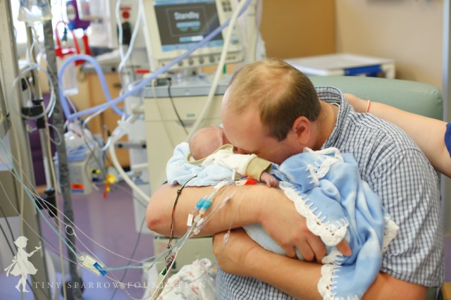 sursa şi copyright Tiny Sparrow Foundation