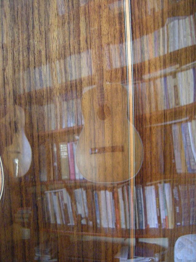 DSCN9009 Spate noul regun şi în oglindire un REghin din 1964