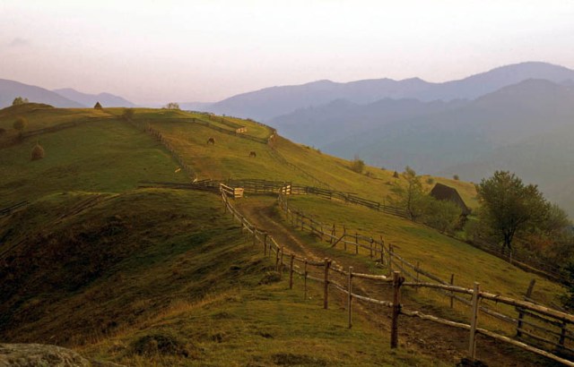 copyright Voicu Bojan