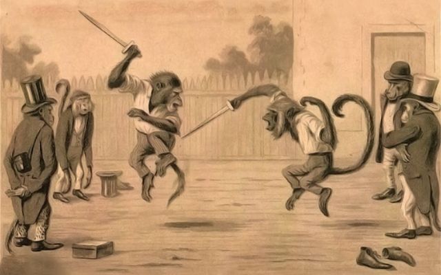 funny-monkey-fight
