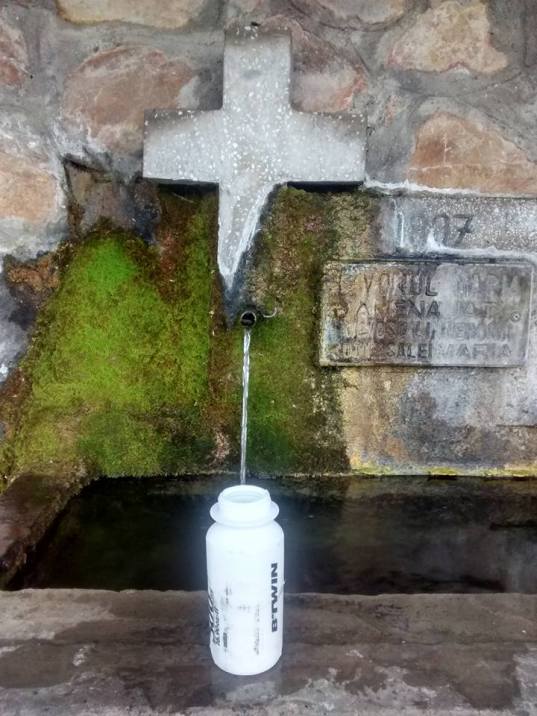 Sursa Corneliu Jităreanu